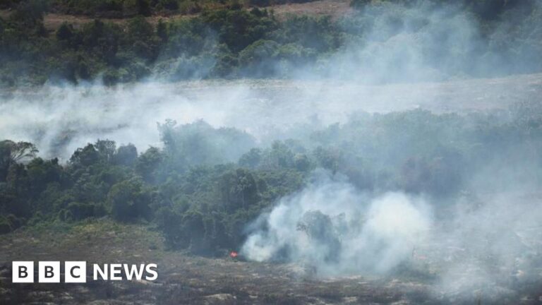 Brazili udhëheq në ruajtjen e pyjeve, por ndryshimet klimatike dhe El Niño kërcënojnë të ardhmen