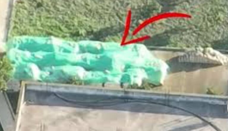 Kokaina në Frakull. Pendohen dy të pandehurit, gati të zbulojnë bashkëpunëtorët