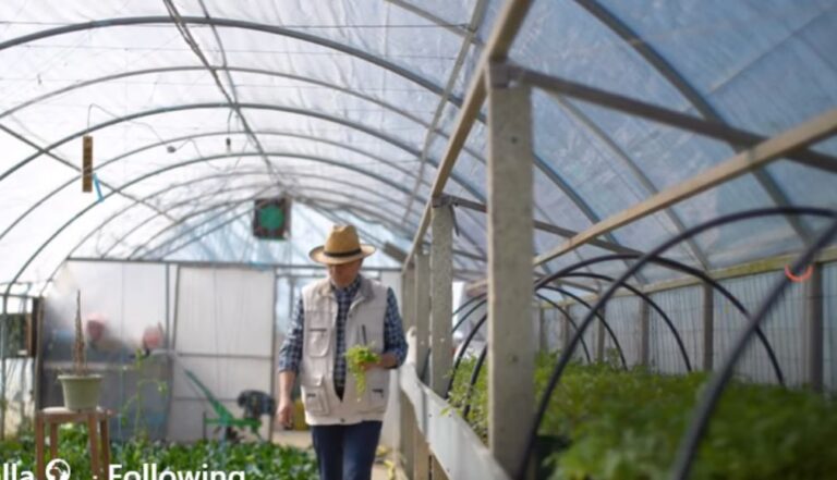 Fermerët përfitojnë 10% kompensim për shitjen e produkteve bujqësore