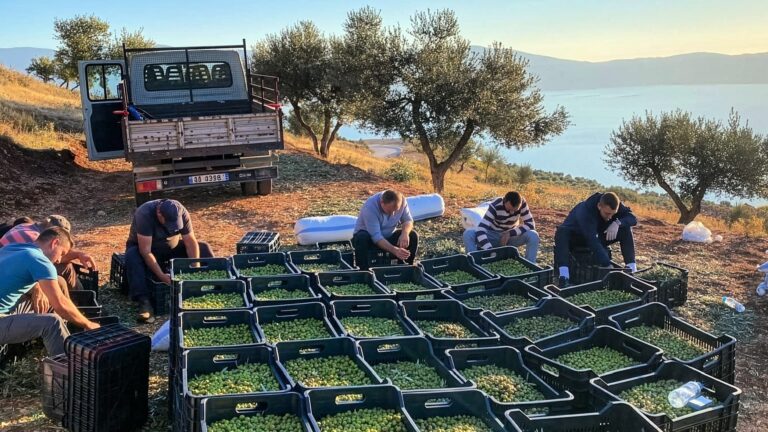 Musai nderohet me Gold Award, Rama: Dëshmi e standardeve të larta shqiptare