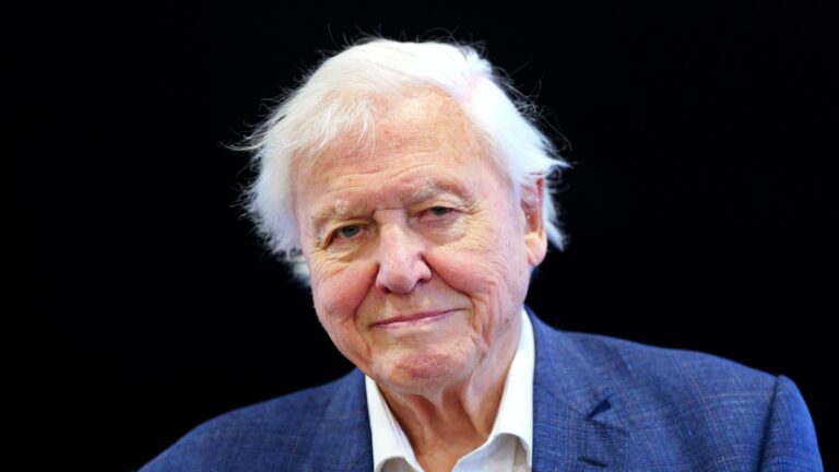 Sir David Attenborough, një shekull përulësi dhe pasion në përkushtim ndaj madhështisë së natyrës