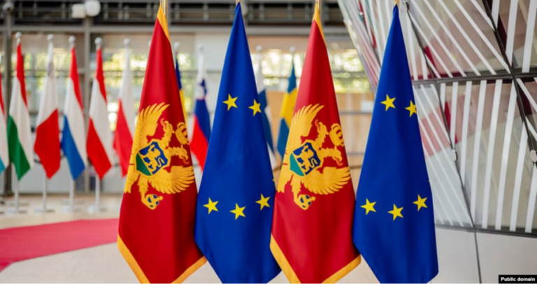 Raporti i PE-së: Mali i Zi, vendi më i avancuar në rrugën drejt BE-së, Shqipëria e dyta