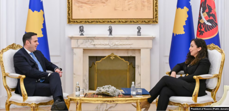 LDK sëbashku me ish-presidenten Vjosa Osmani në zgjedhjet e qershorit