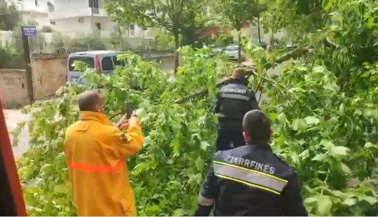 Era e fortë në Vlorë rrëzon pemë dhe shkakton probleme në qarkullim
