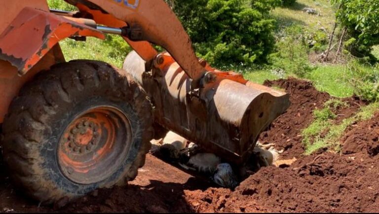 Librazhd/ Bllokim rrugësh dhe ndërprerje energjie elektrike. Rrufeja godet tufën e dhive