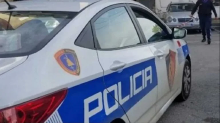 Dy pronarë arrestohen, dhunojnë klienten dhe kundërshtojnë policinë