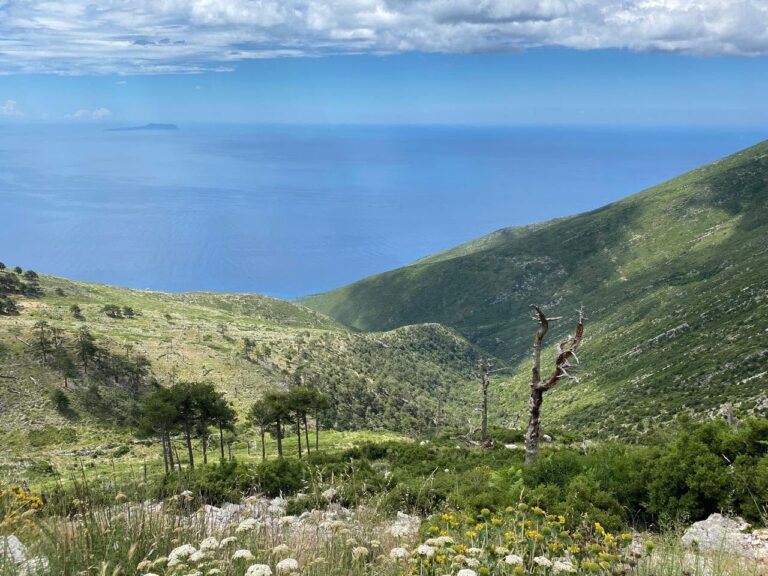 Nga “e virgjër” në “bordello”: Historia e turizmit tonë në Palasë!