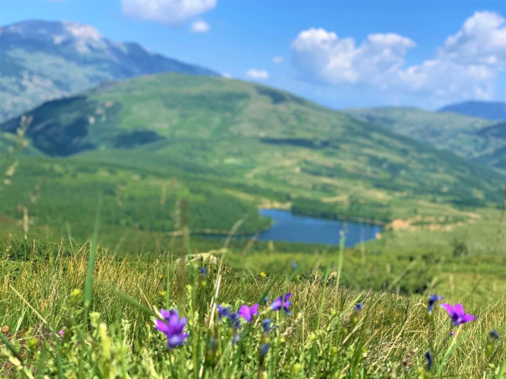 Perla e fshehur e Kukësit, liqeni që magjeps vizitorët mes maleve dhe luleve shumëngjyrëshe