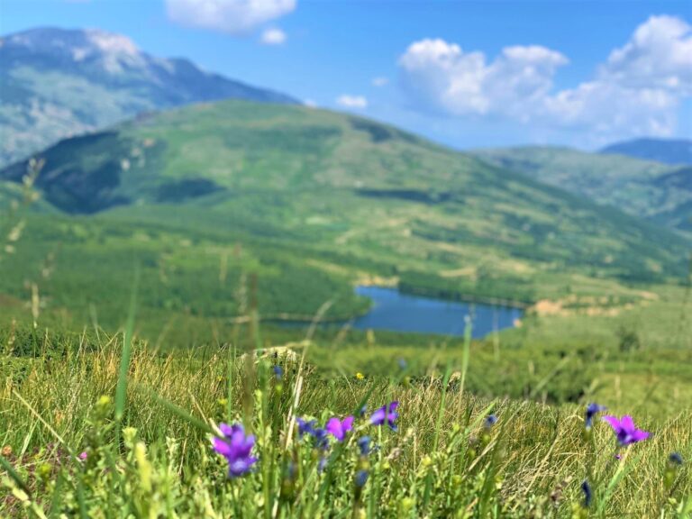 Perla e fshehur e Kukësit, liqeni që magjeps vizitorët mes maleve dhe luleve shumëngjyrëshe