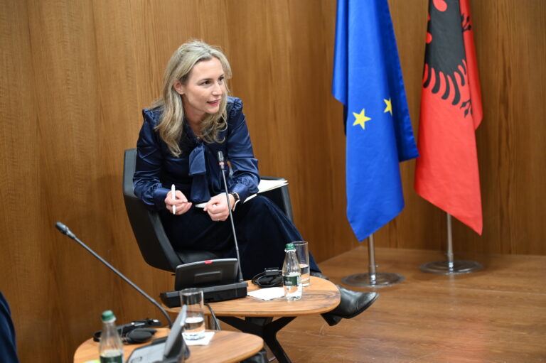 Protestat për të mbrojtur Zvërnecin, Lea Ypi: Shqipëria mund të bëhet shembull për Europën