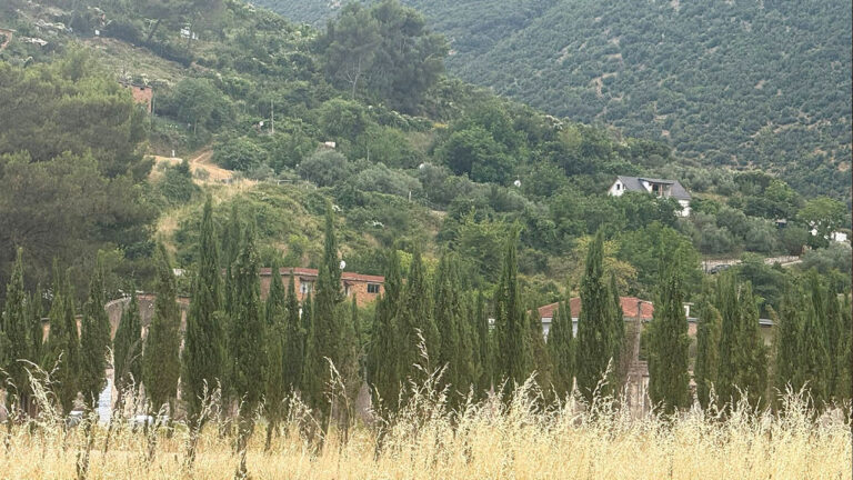Elda Vela sjell shpirtjen e qipariseve që gjallojnë kujtesën e trishtë në rrënojat e ish-kampi famëkeq i Tepelenës