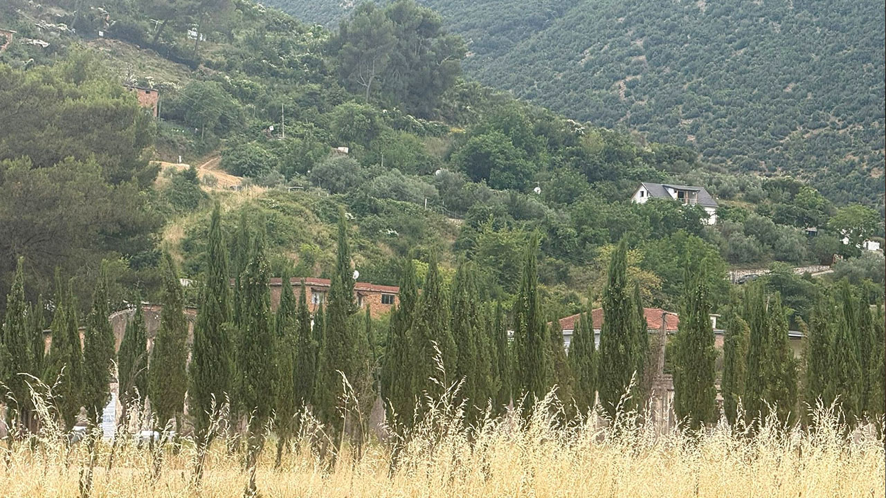 Elda Vela sjell shpirtjen e qipariseve që gjallojnë kujtesën e trishtë në rrënojat e ish kampi famëkeq i Tepelenës