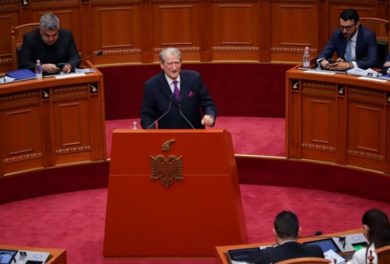 Berisha: Do mbrojë kauzat e protestës