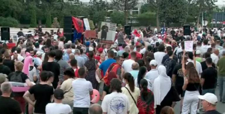 Zbardhen emrat e 5 eurodeputetëve të pranishëm në protestë