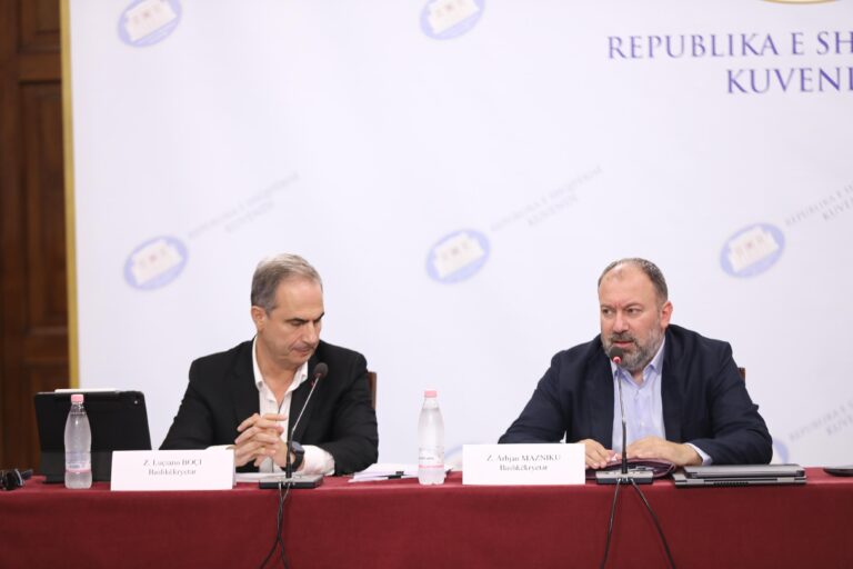 Debate në Komisionin e territoriales, Mazniku: Kujt ia kërkoni përgjegjësinë për punën që duhet të bëni ju?