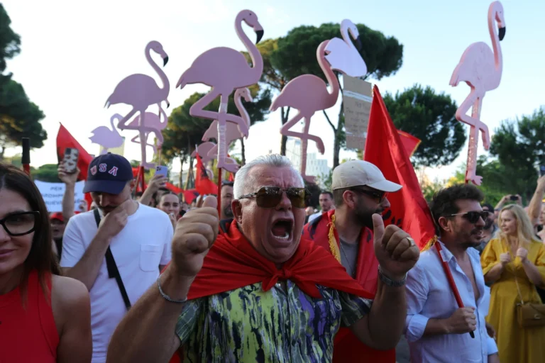 Media zvicerane, Aargauer Zeitung: “Revolucionarët Flamingo” të Shqipërisë luftojnë kundër projektit luksoz të dhëndrit të Trump