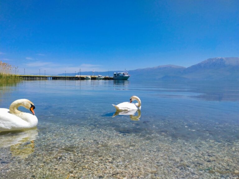21 qershori, Dita e Liqenit të Ohrit, kremtja që starton fillimin e sezonit turistik në tre qytetet që madhështojnë brigjeve