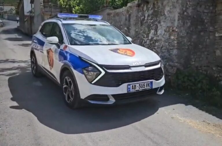 Ngjarje e rëndë në Morinë! Efektivi nga Kosova vret veten me armë zjarri në varrezat e fshatit