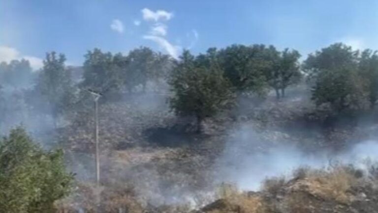 Dy vatra zjarri në jug, Piluri në Himarë përfshihet nga flakët