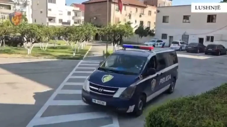 Vodhi paratë dhe laptopin, më pas dogji lokalin, pranga 36-vjeçarit në Lushnjë