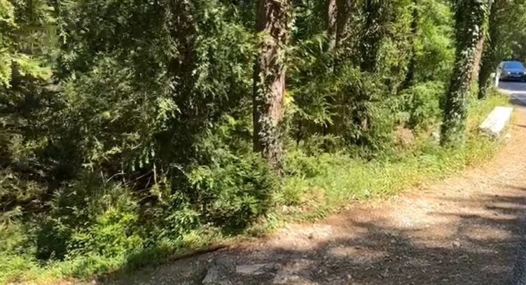 SOS nga mali i Çikës, dy turistë gjermanë mbeten të bllokuar në terren të vështirë