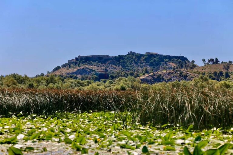 Rama poston fotot: Kartolina e Liqenit të Shkodrës, një copëz parajse e natyrës