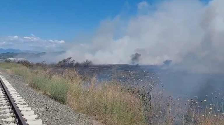 Bie zjarr në fshatin Koxhas, flakët përhapen me shpejtësi nga era