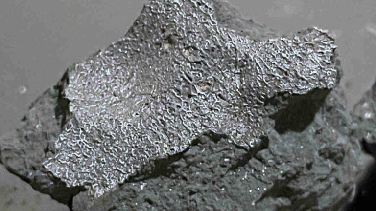Meteoriti i New Jersey-t Zbulon Sekrete të Origjinës së Jetës