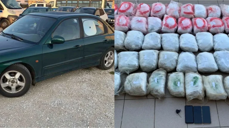 Arrestohet në hyrje të Greqisë, 68-vjeçari shqiptar transportonte 55 kg kanabis