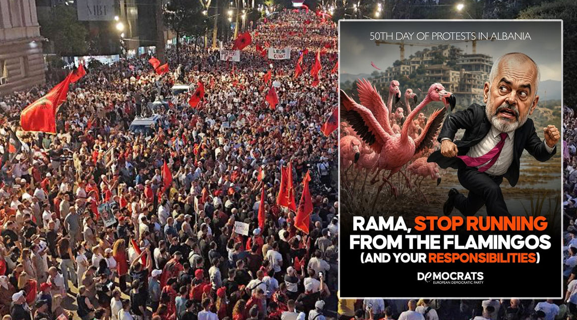 PDE  Për 50 ditë rresht  Revolucioni Flamingo i Shqipërisë ka vazhduar thirrjen e tij për dorëheqjen e Edi Ramës