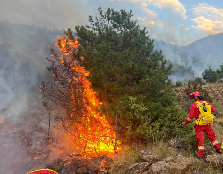 Situatë alarmante në Ulëz, zjarri përhapet në zonën me bimësi