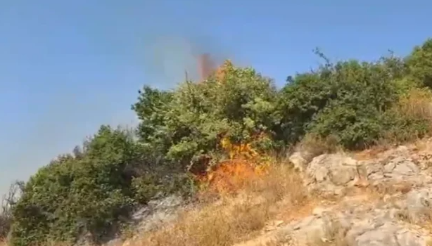 Zjarr në zonën e Ujit të Ftohtë në Vlorë