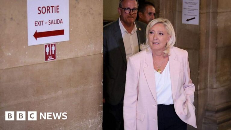 Marine Le Pen konfirmon kandidaturën presidenciale, sfidon dënimin në Gjykatën e Kasacionit