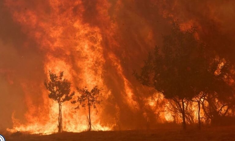 220 mijë të evakuuar në Spanjë dhe Francë, zjarret kalojnë përtej kapaciteteve të zjarrfikësve