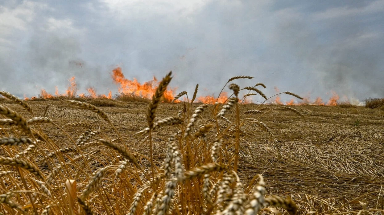 Rusia shënjestron të lashtat ukrainase me bomba ndezëse për t i djegur të korrat