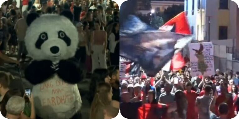 FOTO/ ”Panda” shfaqet me mesazh simbolik në protestë