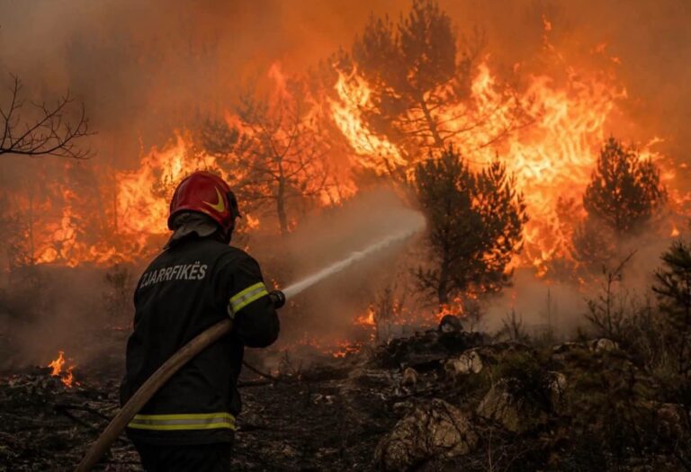 Reagimi i shpejtë i zjarrfikësve shmang përhapjen e flakëve në Krastë të Elbasanit