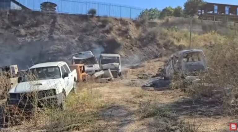 Zjarri që ka përfshirë zona të pyllëzuara në Fier, shoqërohen dy të dyshuar për shkaktimin e flakëve