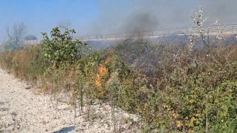 Zjarr në Bilaj të Krujës, flakët pranë autostradës Thumanë-Kashar