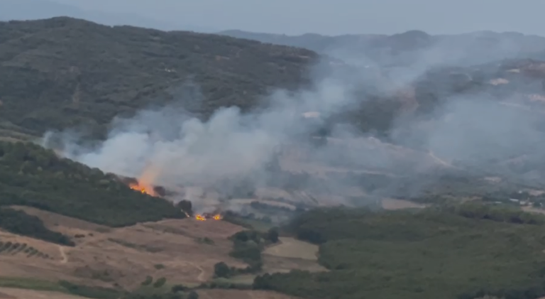 Flakët përfshijnë masivin me pisha në Peshtan të Fierit