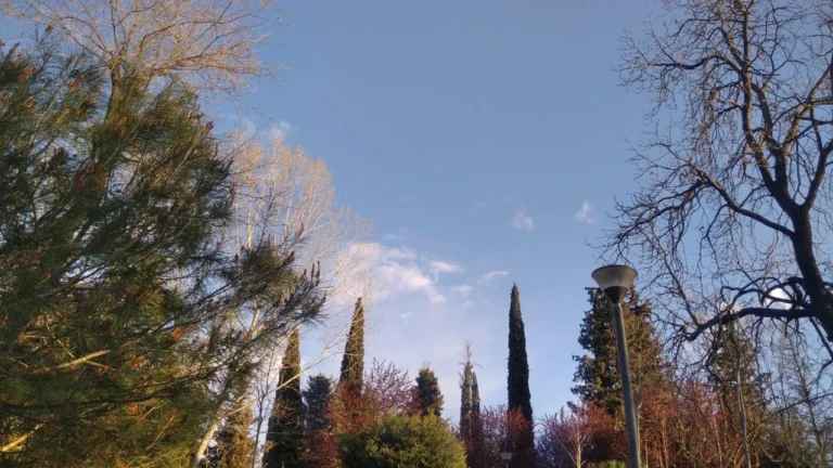 Vapë përvëluese dhe pluhur në ajër, ja çfarë pritet këtë të diel