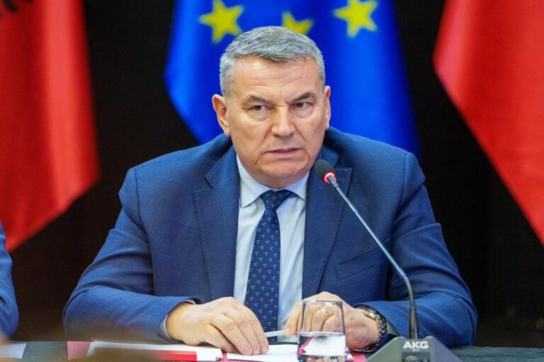 Zjarret në vend, Çako: Dy vatra në Priskë dhe Krujë, shumica shkaktohen nga dora e njeriut