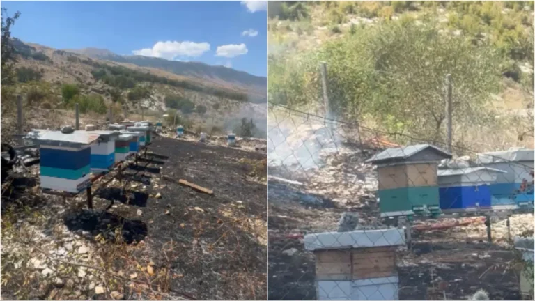 Zjarr pranë repartit ushtarak në Gjirokastër, në rrezik parku me qindra koshere bletësh