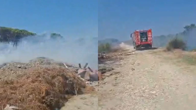 Flakët përfshijnë zonën pyjore në Darëzezë, ndërhyrja e shpejtë shmang rrezikun