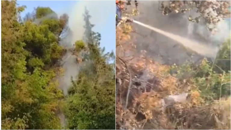 Vatër e re zjarri në Vlorë, rrezikohen pishat pranë Ujit të Ftohtë