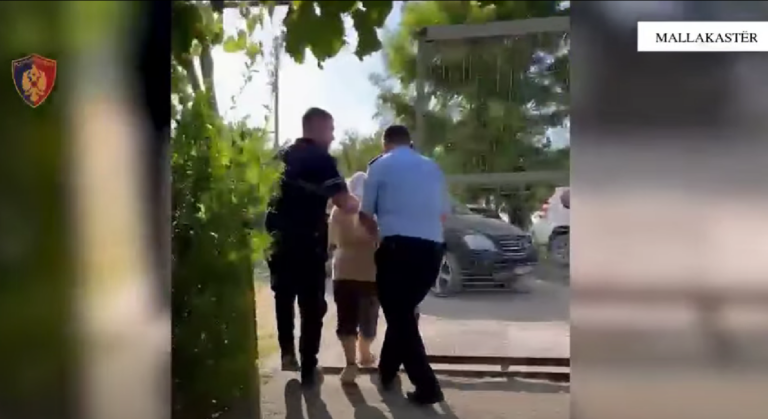 VIDEO/ Zjarri në Rriban, evakuohen 15 familje bashkë me bagëtitë dhe kafshët shtëpiake