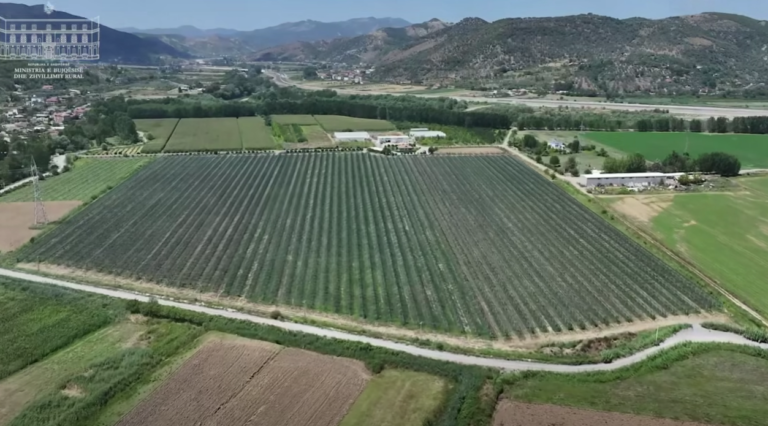 Rama promovon fermën e Alban Sulit: Skema e Investimeve 2025 po rrit konkurrueshmërinë e agrobiznesit