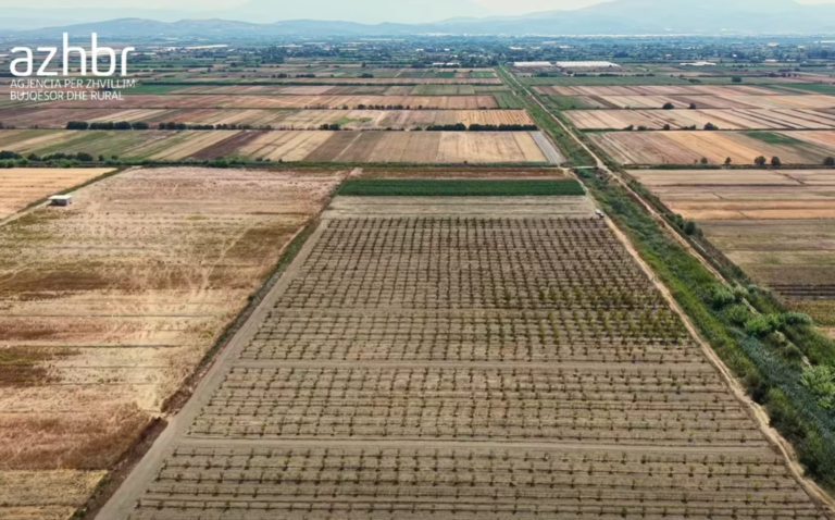 VIDEO/ Nga toka shqiptare te tregjet globale, Rama veçon suksesin e sipërmarrjes në Krutje