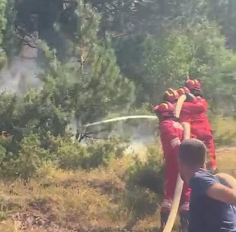 Nufi: Forcat e Armatosura vijojnë luftën me flakët në Dajt, Bulqizë dhe Lurë