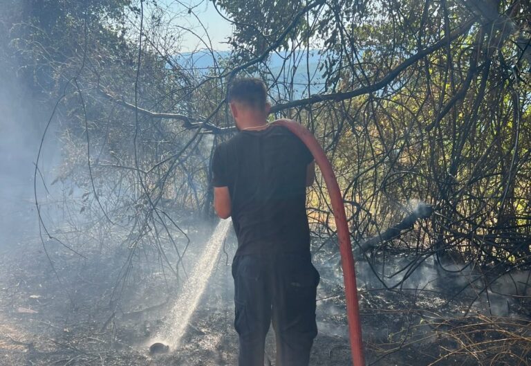 10 orë betejë me zjarrin në Orenjë, flakët pranë banesave dhe shkollës